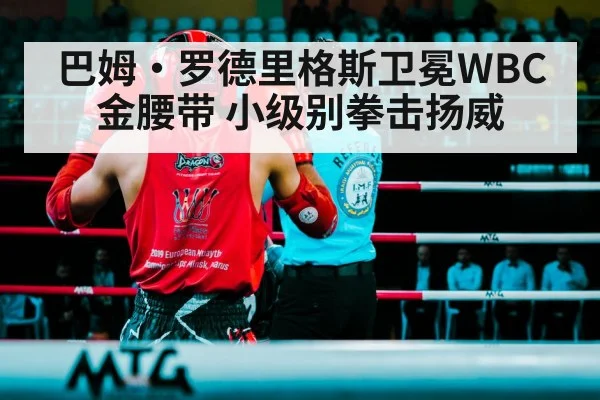 巴姆·罗德里格斯卫冕WBC金腰带 小级别拳击扬威 - j9 game