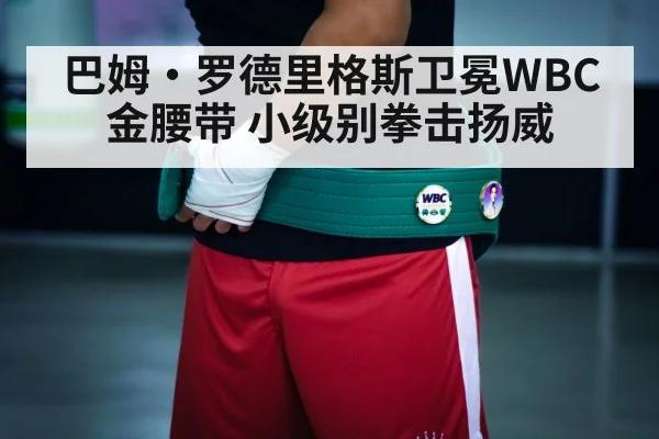 boxing champion belt
