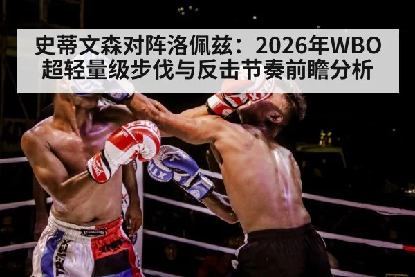 boxer training gloves